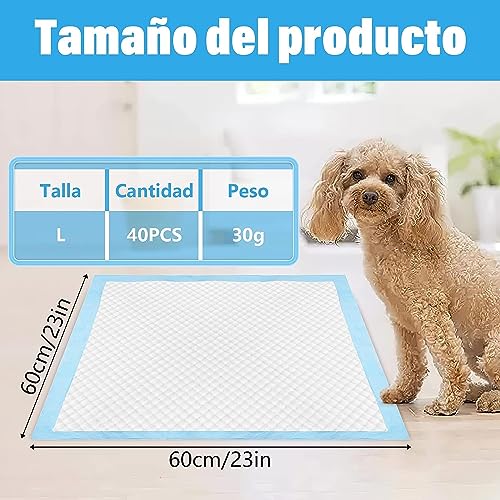 La mejor comparación de Tapete entrenador para perro soriana Top diez. 26 Imagen adicional