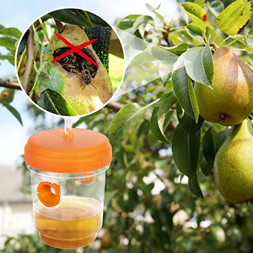 Attrape insecte suspendu idéal pour les repas en terrasse