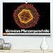 Produktbild Microviews - Pflanzenquerschnitte (Premium, hochwertiger DIN A2 Wandkalender 2021, Kunstdruck in Hochglanz)