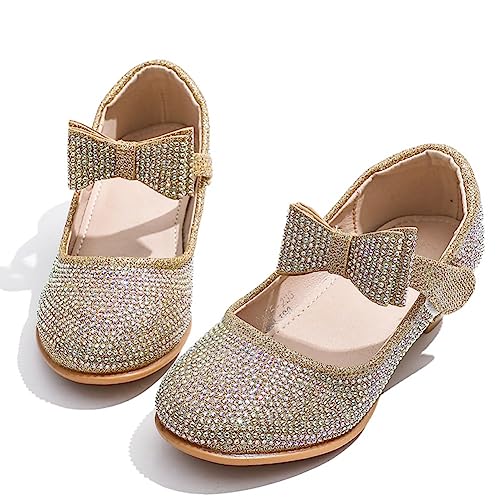 Girls Adorable Dress Shoes Sparkle Wedding Party Low Heel Mary Jane Princess Flower Pump Shoe for Toddler Little/Big Kid