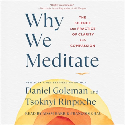 Why We Meditate by Daniel Goleman, Tsoknyi Rinpoche episode artwork