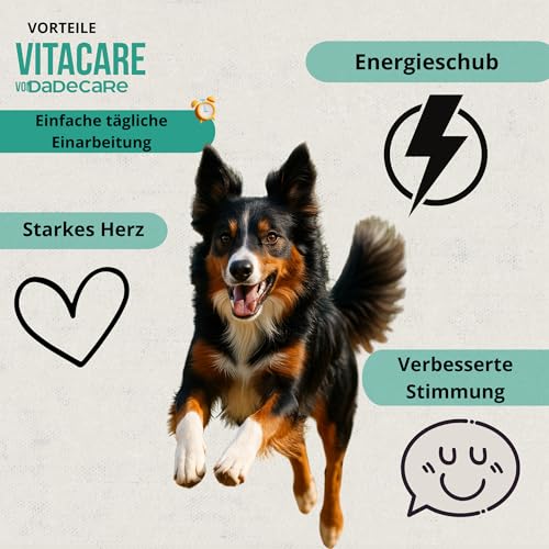 Vitacare – Multivitaminpräparat 300 g Pulver für Hunde und Katzen | natürliche Vitamine mit Algen Kelp, Bierhefe, Mariendistel, Komplex B, A, C, D3 und E | Immunverstärkung und Energie