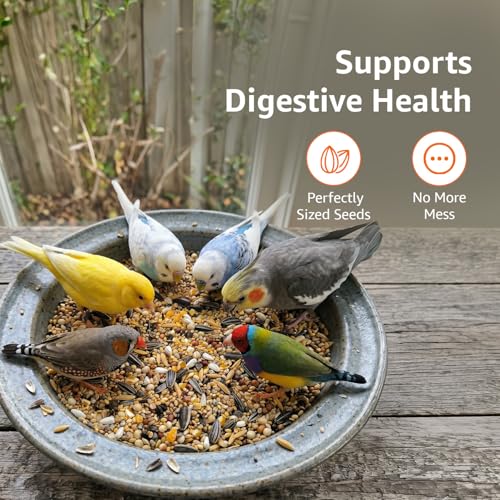 Image of Amazon Basics Mix Seed Bird Food for Wild Birds | 1 Kg | 100% Natural | Energy-Rich & Easily Digestible | Suitable for All Life Stages | Made in India