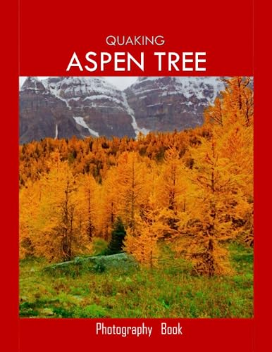 QUAKING ASPEN TREE: Quaking Aspen Tree Photography Coffee Table Book : An Amazing Group Of Pictures For Relaxing & Meditation- Perfect Gift for all. ... Images (8.5"*11") Paperback. July 10,2023 .