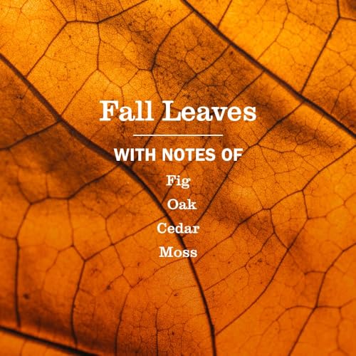 Image of Mrs. MEYER'S Fall Leaves Kitchen Set Variation, Includes Dish Soap, Hand Soap and Multi-Surface Cleaner, 3 ct.