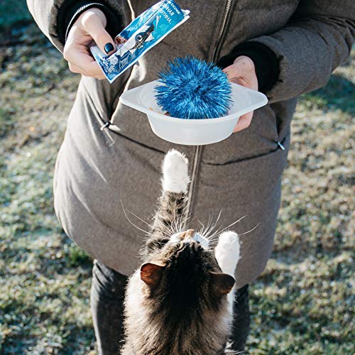 ULTECHNOVO Glitter Bolas de Brinquedo-Brinquedo de Estimação Bolas Bolas de Glitter Colorido Engraça