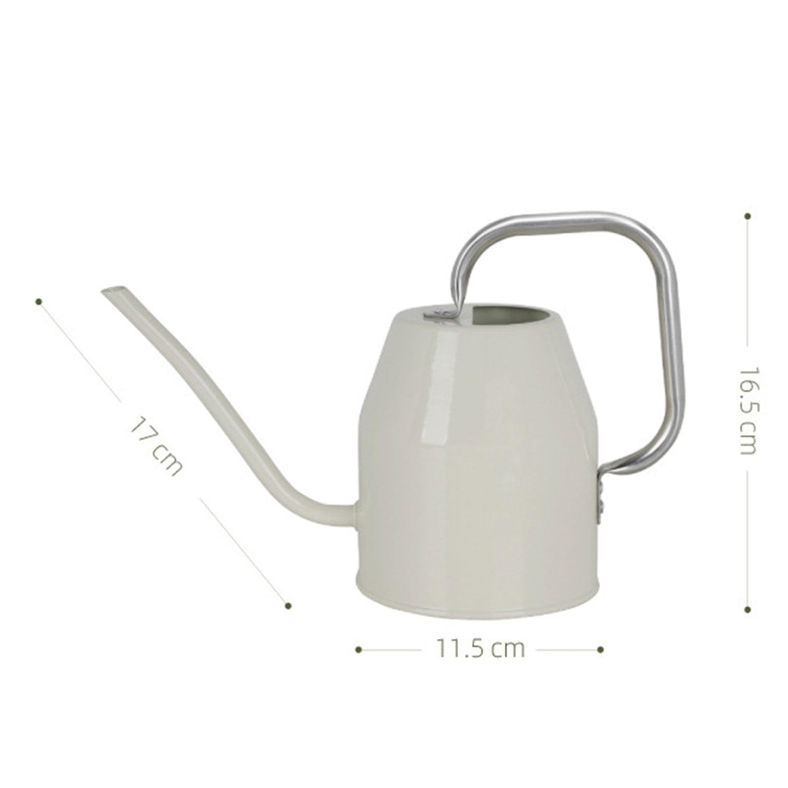 Arrosoir de Jardin à Long Col de 1 L pour D'intérieur et Jardin
