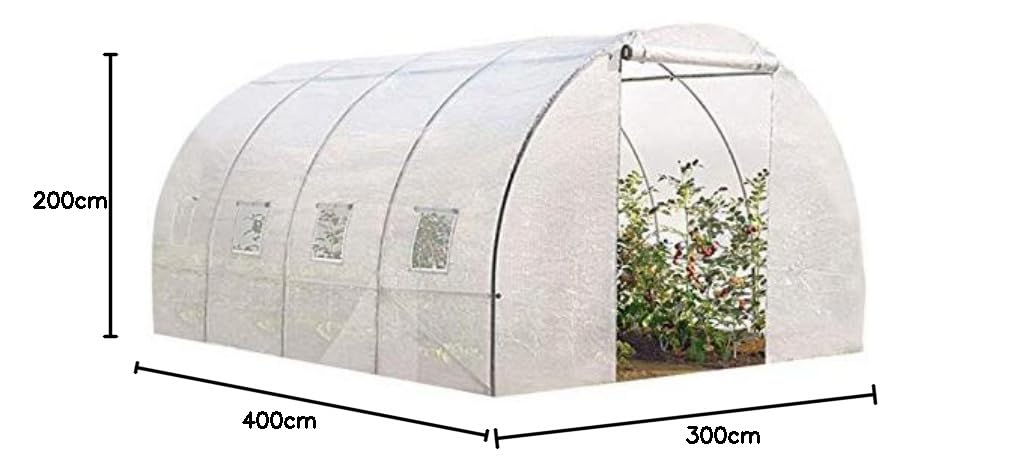 IDMarket - Serre Tunnel de Jardin 12M² Blanche Gamme maraîchère Zebra 4x3M