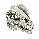 Generic 1/3 Skala Dinosaurier Dilophosaurus Harz Schädel Figur Modell Sammler - Weiß