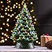 Mr. Christmas Nostalgic Ceramic Christmas Tree with LED Lights Indoor Decoration, 18 Inches, Green