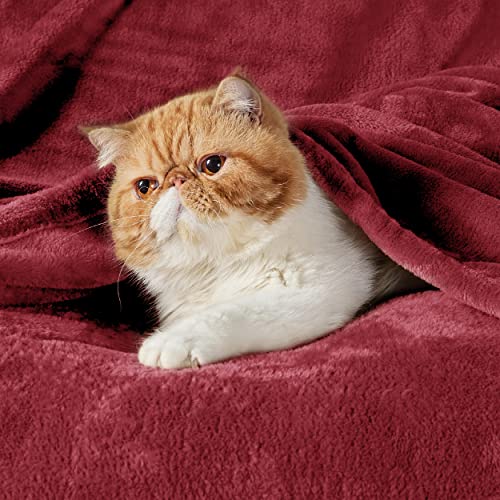BEDSURE Kuscheldecke Flauschig Decke Fleecedecke - 150x200cm, Rot – Ansicht 3