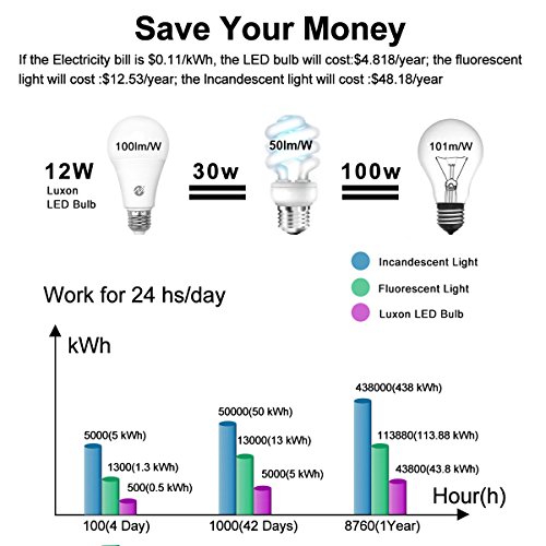 Z Motion Sensor Light Bulbs Dusk To Dawn Led Light Bulbs Radar Motion Detector Light 100 Watt Equivalent E26 Base A19 Indoor Outdoor Lighting Lamp 10W Daylight White 6500K 2 Pack #TOP4