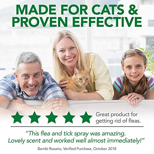 https://m.media-amazon.com/images/I/514nWncMs6L._SL500_.jpg