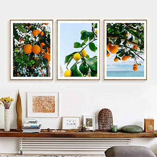 Art mural photo fruit plante grand format pour réveiller un mur vide