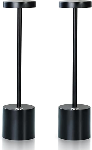 Moss & Stone Paquete de 2 lámparas de mesa portátiles inalámbricas LED, lámpara de escritorio inalámbrica USB, lámpara de mesa recargable de 3000