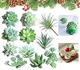 Ruiaqer 11 Stück Kunstpflanze, Kunstpflanze Sukkulenten,Mini Sukkulenten Künstliche,unechte Zimmerpflanzen, Schlafzimmer Deko,Dekopflanzen Künstliche Pflanzen für Schlafzimmer Büro Dekoration