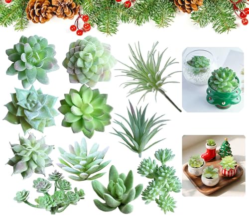 Ruiaqer 11 Stück Kunstpflanze, Kunstpflanze Sukkulenten,Mini Sukkulenten Künstliche,unechte Zimmerpflanzen, Schlafzimmer Deko,Dekopflanzen Künstliche Pflanzen für Schlafzimmer Büro Dekoration