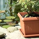 IMJ-Global B09S3ZXR82 lato 4