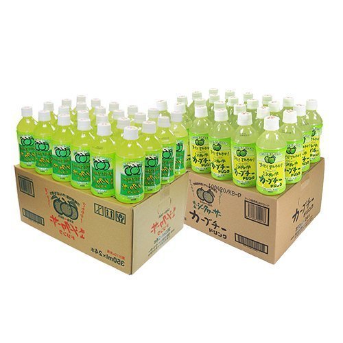 V[N[T[ & J[u`[ hNZbg 350ml×e24{ RV[N[T[ ꌧYV[N[T[ʏ`EJ[u`[ʏ`gp fޖ{̕ςW[X yYɂœKȈic