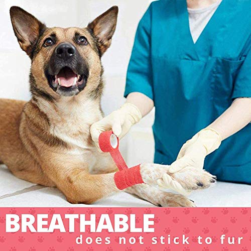 Vet Wrap - (Pack of 6-2 inch x 5 Yard Rolls) Self Adherent Wrap Cohesive Compression Bandage and Medical Gauze Bandage Roll Tape for Dogs, Cats, Horses - Assorted Colors - Image 3