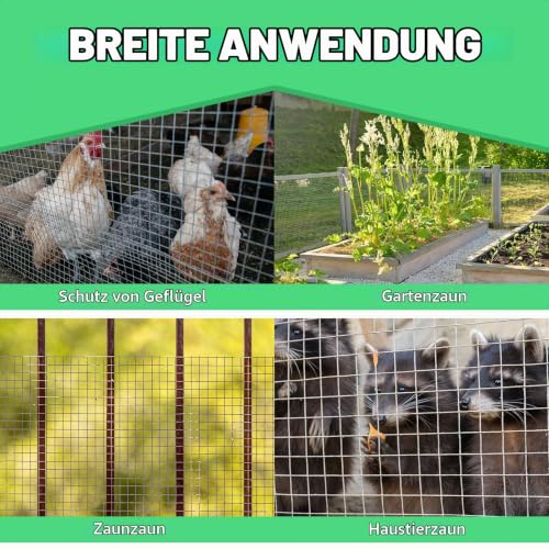 CCLIFE Hühnerzaun Geflügelnetz , Maschenweite 6.3 mm , Höhe 100 cm , Länge 2/5 m , Verzinkt Silber