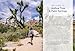 Moon Joshua Tree & Palm Springs: Hiking, Scenic Drives, Desert Getaways (Moon National Parks Travel Guide)