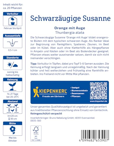 Kiepenkerl Schwarzäugige Susanne-Samen Orange mit Auge 1065390 - Kletterpflanze - lange Blütezeit - orangene Blüten - Saatgut, Pflanzen, Blumensamen