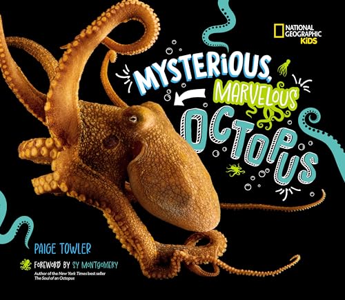 Image of Mysterious, Marvelous Octopus!