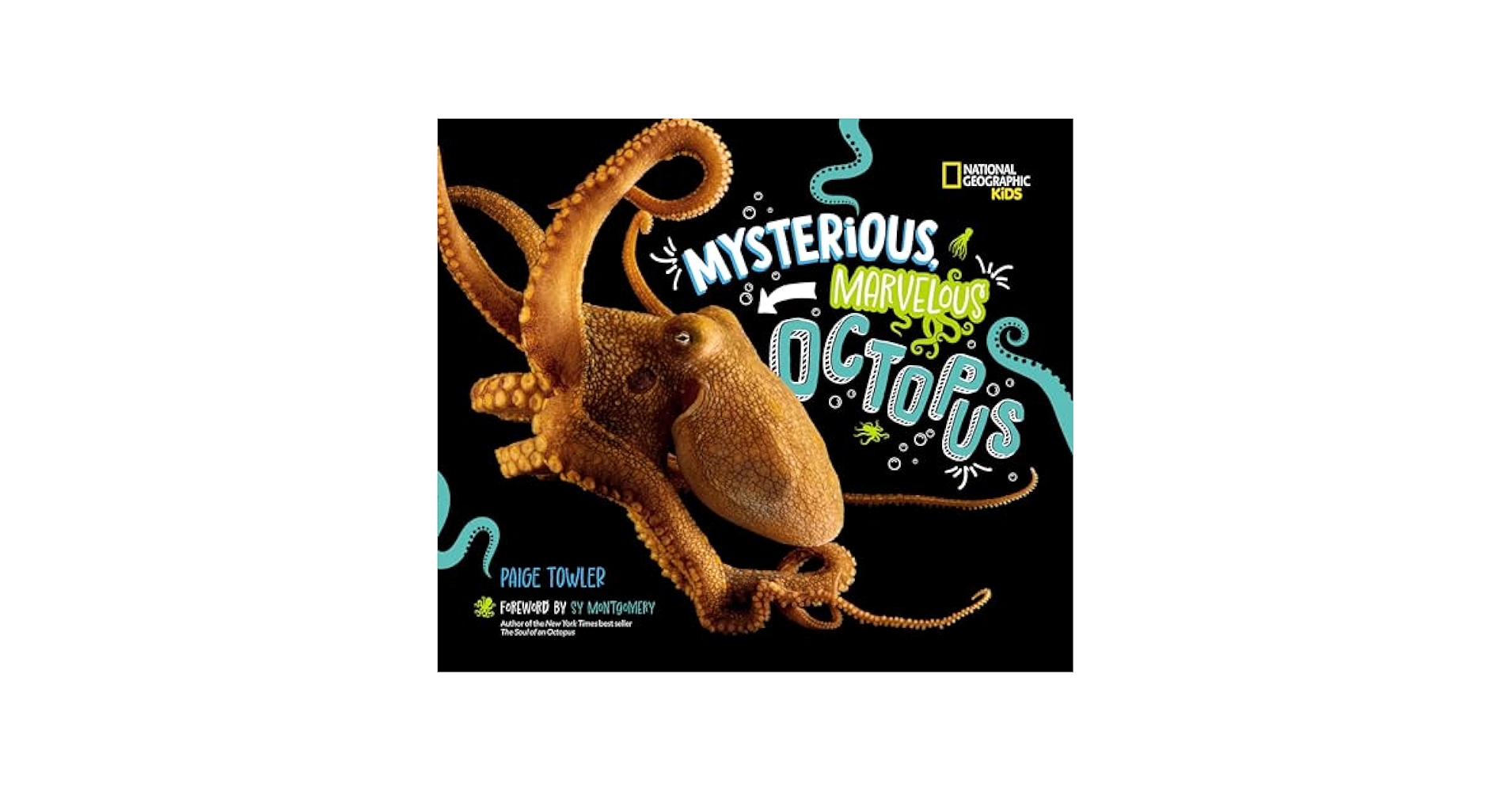 Tara Books   “The Undecided Octopus ” Mysterious, Marvelous Octopus (National Geographic Kids
