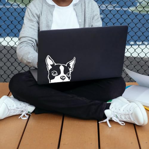 Image of WIRESTER 6 inch Clear Vinyl Decal Sticker Decoration for Car Window (Or Any Flat Surface) - Boston Terrier Dog