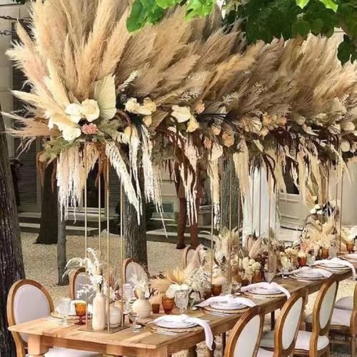 Pampas Grass Large 60cm Fluffy Tall Pampas Decor (5pcs) miniatura 5