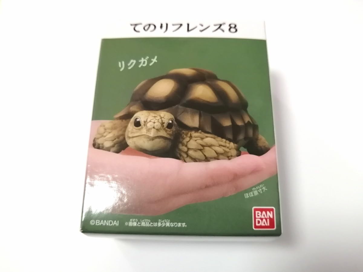Amazon | てのりフレンズ8 リクガメ フィギュア食玩 | フィギュア