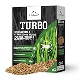 VERDE BRILLANTE: La presenza di festuca rubra mantiene un colore verde intenso e duraturo, anche durante la stagione fredda, per un prato sempre curato e rigoglioso.
