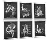 Medical Decor set of 6 unframed Orthopedic Posters of Human Anatomy Joints
