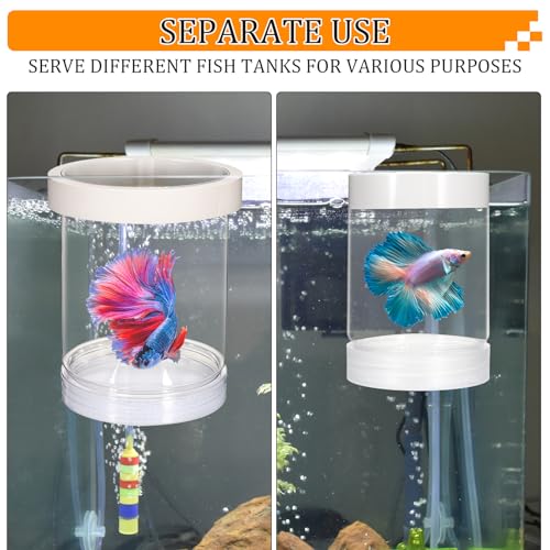 Image of Breeder Box for Fish Tank, Aquarium Breeder Box Plastic Floating Baby Fish Separator for Aquarium Transparent Hatchery Isolation Incubator for Shrimp Betta Clownfish Guppy
