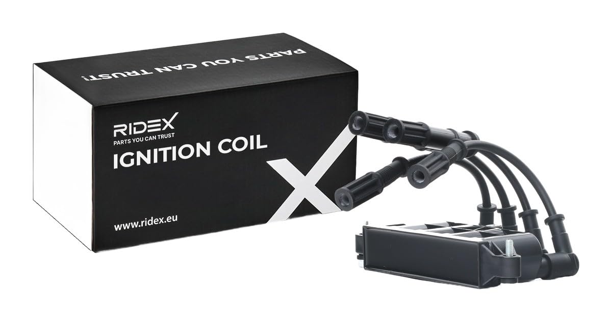 RIDEX 689C0290 Bobina d'accensione Compatibilità con FIAT 500 312