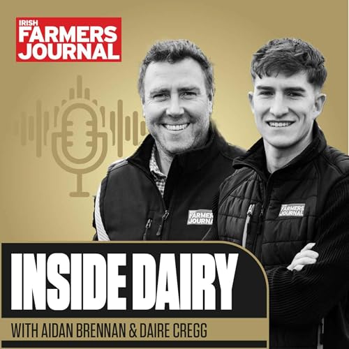 Inside Dairy Teasers cover art