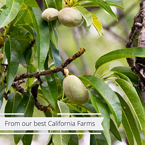 Gourmet Whole Raw Almonds By Its Delish Bulk (2 Lbs) #TOP2