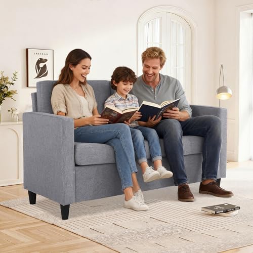 Mingone Migone Sofa Klein 2 Sitzer Sofa Couch Sessel mit Lehne Abnehmbarem...