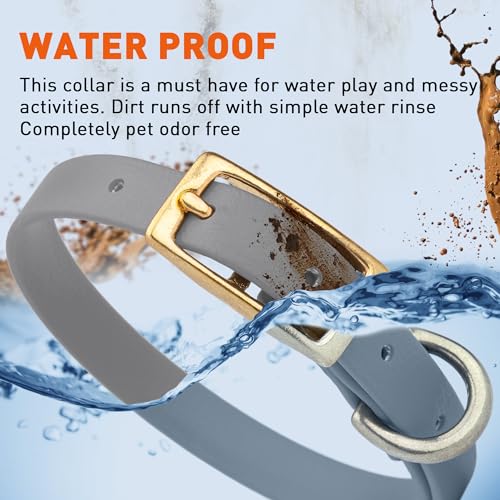 Image of Viper Biothane Heavy Duty Waterproof Dog Collar Strong Coated Nylon Webbing w /Solid Brass Hardware Odor-Proof Easy to Clean High Performance Fits Small Medium or Large Dogs, Battleship Gray