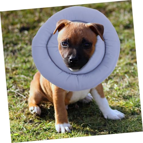Collier de récupération pour chiens XXL : préserver le sommeil et les repas du chien - 7