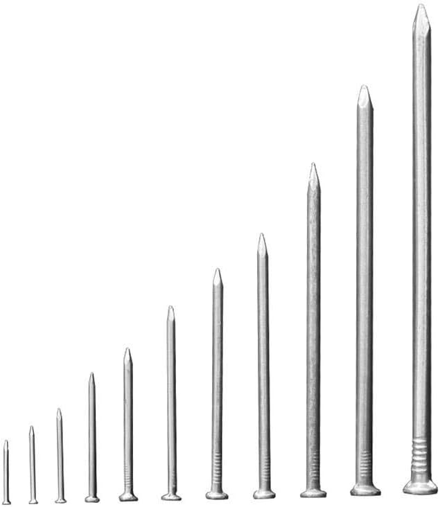 Stainless Steel Hardware Nails, Foreign Nails, fine, 8 Points 1 .5 2 3 4 6 inches-1. inch Length 40mm Thick 2mm 450(6 Inches Long 150mm Thick 5.5mm 17 Pcs)