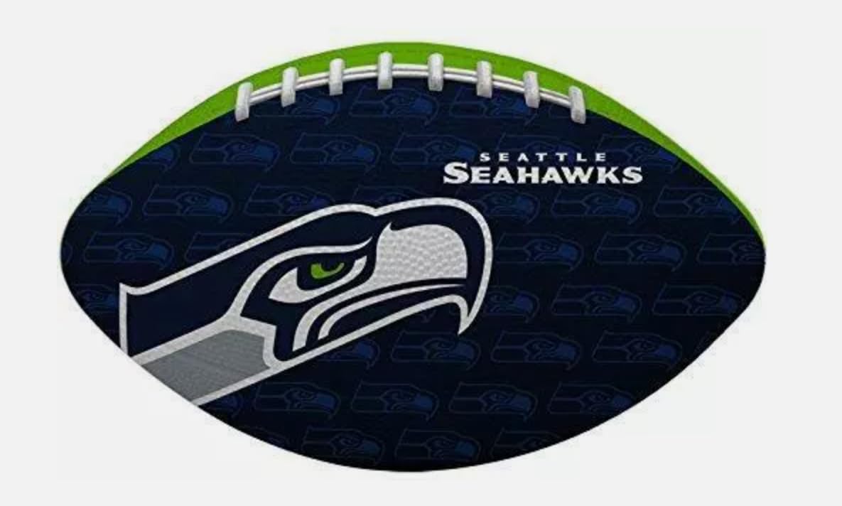 NFL Gridiron Junior-Size Youth Football (All Team Options)