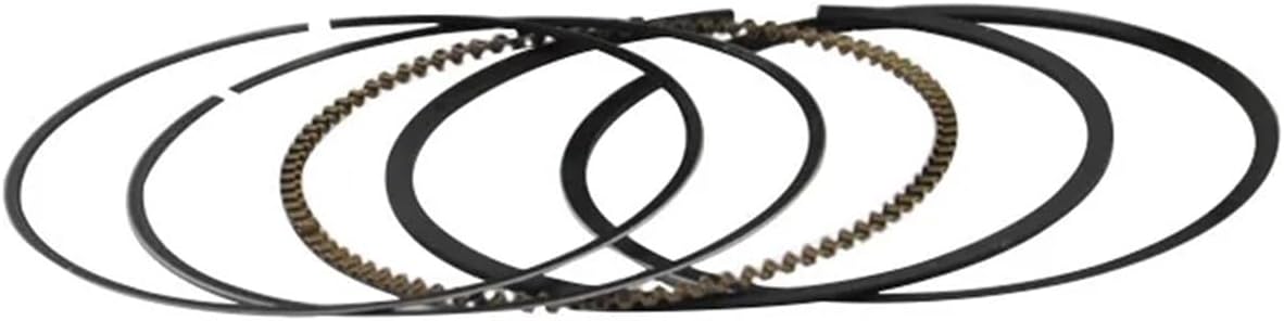 オートバイ用シリンダーパーツ ピストンリングキットセット STEED 600 VLX600 NTV600 VT600 SHADOW