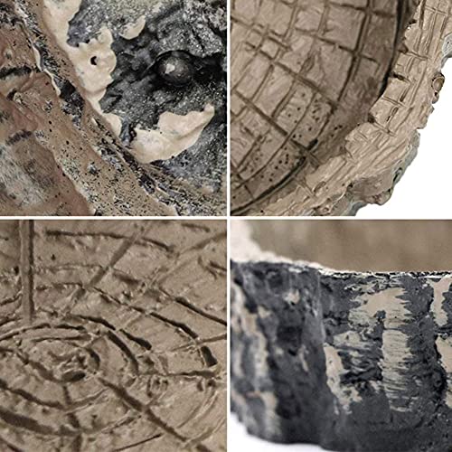 Reptielgerechten, 2 stuks voederbakjes reptielen, reptielen feeder, hagedissen-feeder, voedsel bowl rok, voederplaat… - Afbeelding 5