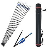 Paket umfassen: 12pcs Kohlenstoffpfeile + Pfeilköcher