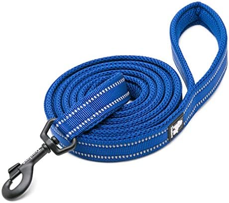 WINHYEPET True Love Dog Leash Nylon Reflective Comfortable Handle Lead Puppy Training Walking Rope Easy Control Suitable Small Medium Large Breeds 110cm Length TLL2111(Purple,M)