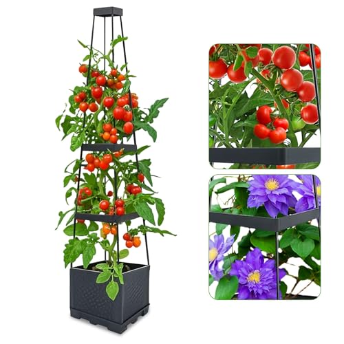 Self-Watering Tomato Planter Cage Adjustable Raised Garden Bed Support Box with 4-Tier Metal Trellis Detachable Planting Trellis Pot for Climbing Vegetables, Tomatoes, Cucumbers, Vertical Plants 2Pack