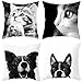 NLAND Chat MignonTaie d'oreiller Lot de 4 Noir et Blanc Imprimé Chat Housse De Coussin carré pour Lit Voiture De La Maison Canapé(B,Taille Unique)