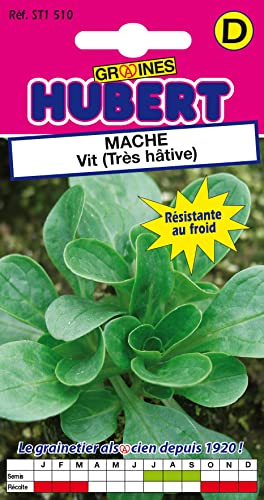 Graines de Mâche Vit (Très hative) - 3 grammes